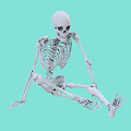 Modern Skeleton 3d model