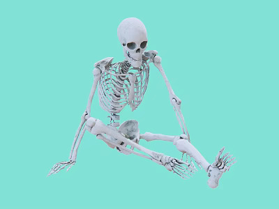 Detailed Human Anatomical Skeleton Model as Medical Device for Training and Education 3d model