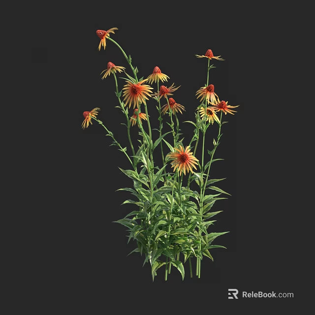 Fresh Yellow and Red Blooms with Green Stems and Leaves in Bunch on Black Background 3d model 