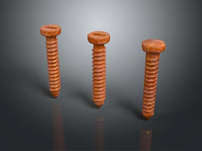 Rusty Metal Screws As Essential Hardware Tools For Construction And Repair 3d model