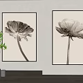 Black And White Flower Botanical Prints Hanging On Wall With Green Plants