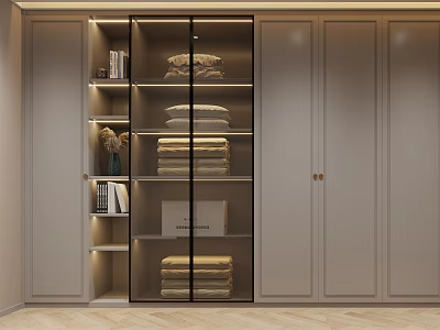Modern Wardrobe Design With Glass Door Built-in LED Lighting And Shelves For Folded Clothes 3d model