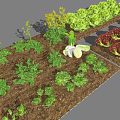 Various types of vegetable combinations 3d model