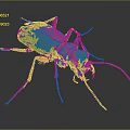Green Beetle With Yellow Spots Long Antennae And Legs On Dark Background