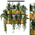 Hanging Green Plants In Multi Tiered Metal Frame With Yellow Pots Monstera Ferns And Vines