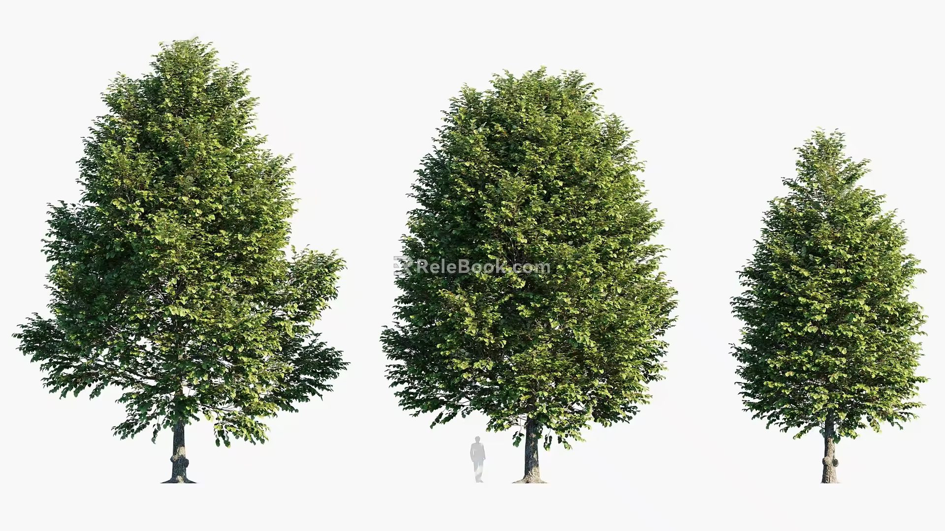 Plants Trees Arbor Landscape Trees 3d model