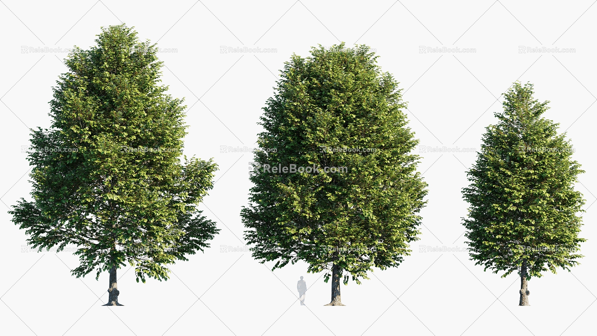 Plants Trees Arbor Landscape Trees 3d model