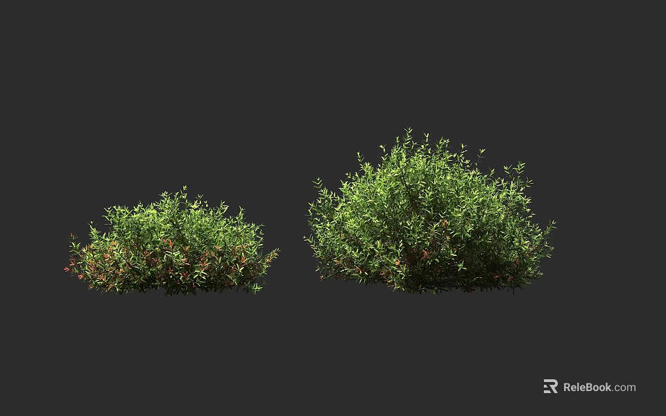 Green Shrubs In Different Sizes With Fresh Foliage For Garden Landscaping 3d model 