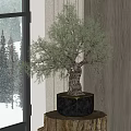 Indoor Bonsai Tree With Lush Green Leaves On Wooden Stand And Snowy Window View