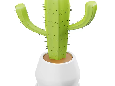 Green Cactus Plant In White Planter With Brown Base For Indoor Decor 3d model