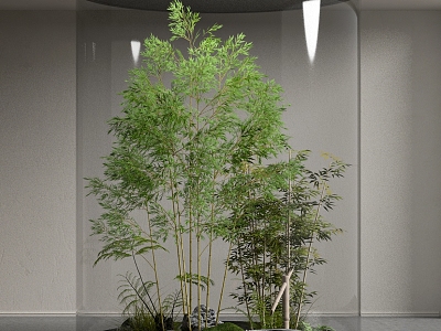 Indoor Bamboo Stone Plant Landscape 3d model