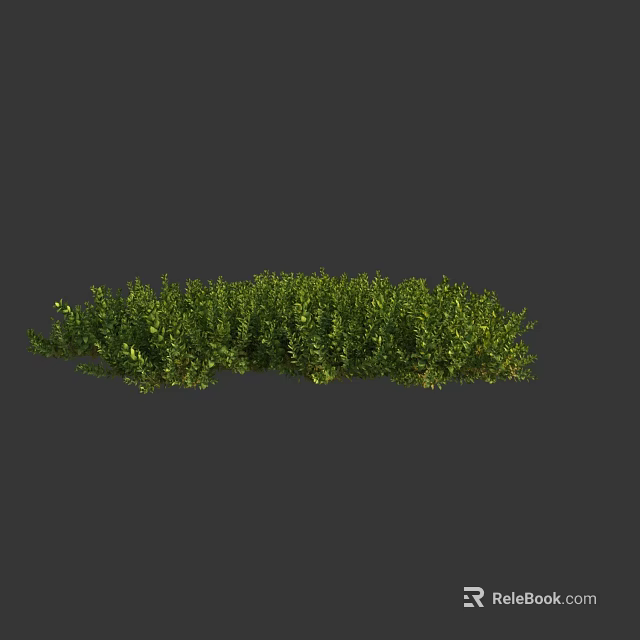 Lush Green Shrubs With Dense Vibrant Foliage For Garden Landscaping 3d model 
