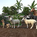 Farm Animals Including Horses Donkeys Sheep Dogs Pig Near Palm Trees Green Plants Purple Flowers
