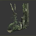Park Landscape Featuring Ivy Covered Stone Wall Stone Steps Flagstone Path And Lush Greenery