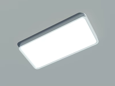 Modern Flush Mount Rectangular LED Ceiling Light with White Panel and Black Frame 3d model