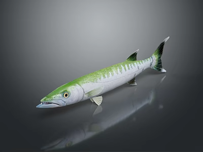 Green And White Fish With Black Tail Yellow Eyes On Gray Background With Reflection 3d model