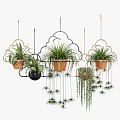Hanging Basket Plants with Cloud Shaped Designs Ferns Trailing Foliage Black Golden and Terracotta