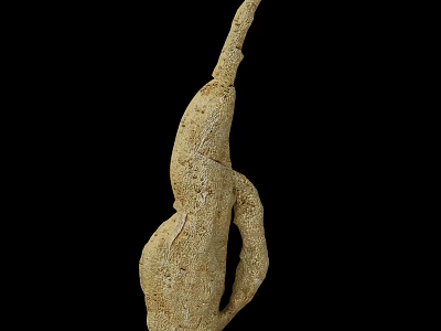 Unique Natural Twisted Textured Brown Organic Shape Decorative Sculpture 3d model
