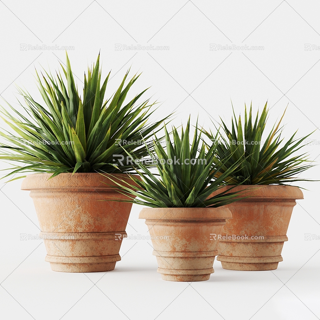 Potted Small Green Plant Indoor Plant Ornaments 3d model