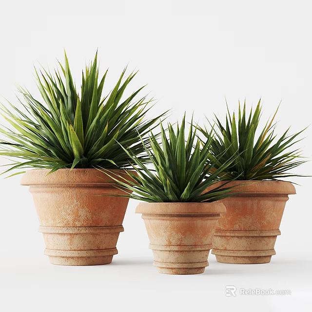 Decorative Potted Green Plants in Terracotta Pots with Long Slender Leaves 3d model 
