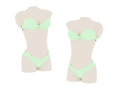 Household Supplies Female Supplies 3d model