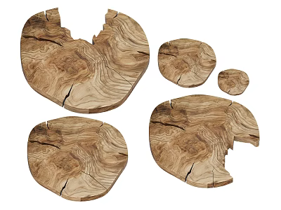 Natural Wood Slices with Unique Grain Irregular Shapes and Various Sizes for Home Decor 3d model