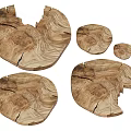 Natural Wood Slices with Unique Grain Irregular Shapes and Various Sizes for Home Decor