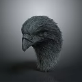 Detailed 3D Rendered Emu Head With Textured Feathers On Gray Background