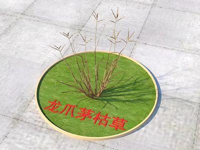 Withered Dragon Claw Grass Growing on Circular Green Lawn with Gray Stone Pavement 3d model