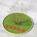 Withered Dragon Claw Grass Growing on Circular Green Lawn with Gray Stone Pavement