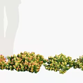 Colorful Flowers And Lush Plants Arranged In A Row For Garden Decoration