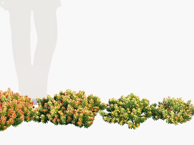 Colorful Flowers And Lush Plants Arranged In A Row For Garden Decoration 3d model