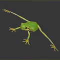 Vibrant Green Frog With Yellow Feet On Gray Background Displaying Realistic Lifelike Features