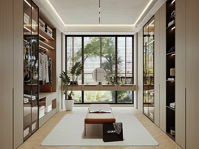 Modern Walk In Closet Interior Design With Glass Doors Wooden Cabinets Mirror And Natural Light 3d model