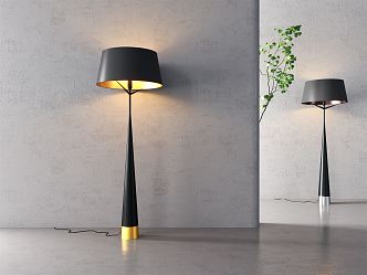 Light Luxury Floor Lamp 3d model