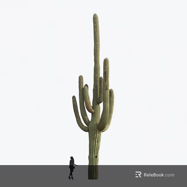 Tall Green Cactus Plant With Spiny Arms Growing In Outdoor Natural Environment 3d model 
