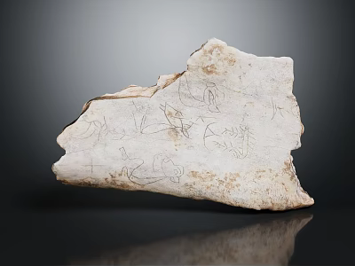 Medical Devices Featuring Scratched Bone Specimens For Educational And Research Applications 3d model
