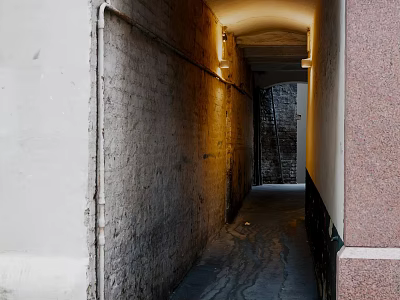 Historic Commercial Street Alley Featuring Narrow Brick Walls Warm Lighting and Damp Ground 3d model