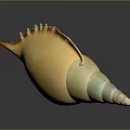 Yellow Green Spiral Conch Shell As Aquatic Animal With Pointed Tip And Curved Edges
