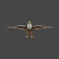 Low Poly Eagle Standing With Spread Wings And Brown White Feathers