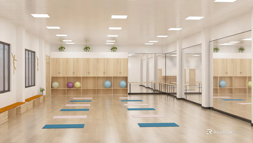 Spacious Yoga Studio Interior With Wooden Lockers Green Plants Colored Yoga Balls And Yoga Mats 3d model 