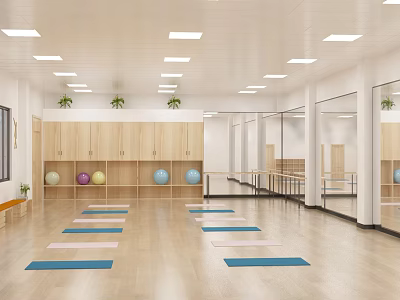 Spacious Yoga Studio Interior With Wooden Lockers Green Plants Colored Yoga Balls And Yoga Mats 3d model