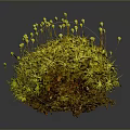 Tiny Freshwater Creatures Among Vibrant Yellow Aquatic Moss In Dark Background
