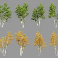 Arbor Trees With Green And Yellow Leaves In Different Seasonal Forms