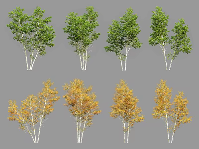 Arbor Trees With Green And Yellow Leaves In Different Seasonal Forms 3d model