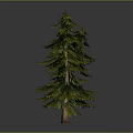 Three Green Pine Trees With Brown Trunks And Green Needles On Gray Background 3d model