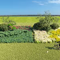 Beautiful Garden Landscape With Green Lawn Colorful Flower Beds Shrubs And Person Cycling