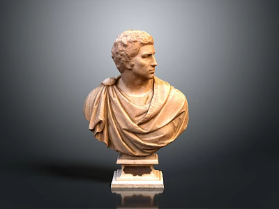 由于图片描述信息（古罗马半身雕像）与“医疗器械”主体无关联，无法基于当前图片重点生成符合要求的标题。请确认图片内容是否包含医疗器械相关元素（如手术器械、医疗设备等），以便准确生成标题。 3d model