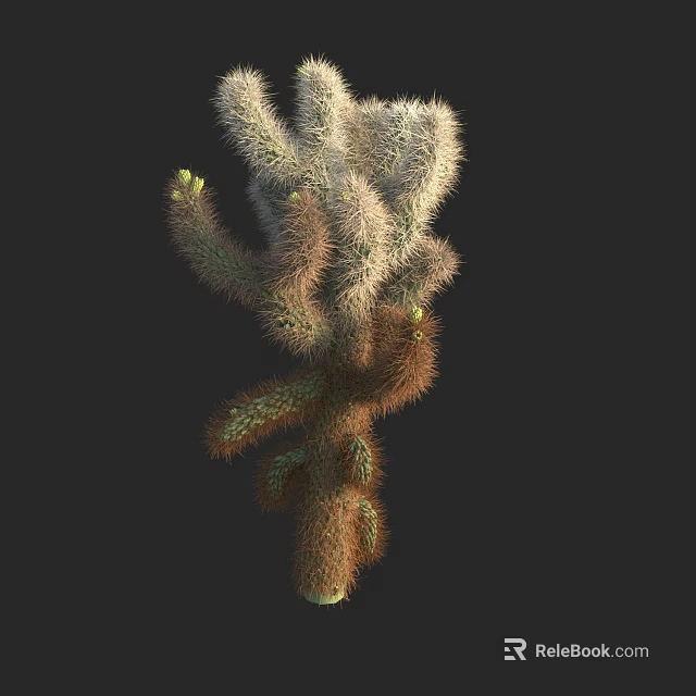 Fuzzy Branched Cactus Plant With Green Stems And Spines On Black Background 3d model 