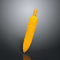 Yellow Corn Cob With Fresh Silk As Daily Life Kitchen Food Ingredient